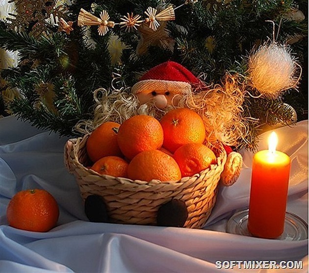 Любопытные факты о мандаринах