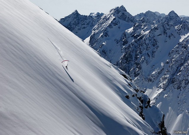 Из солянки от 02.01.2016