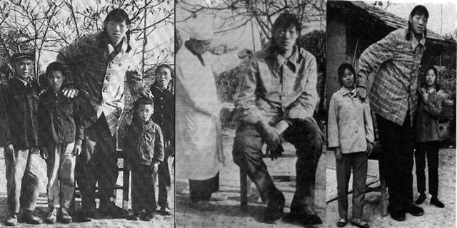 Высокие женщины мира