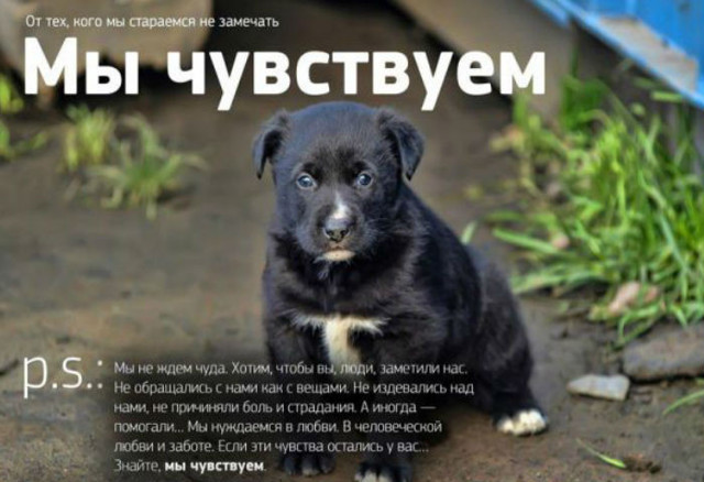 Мы чувствуем