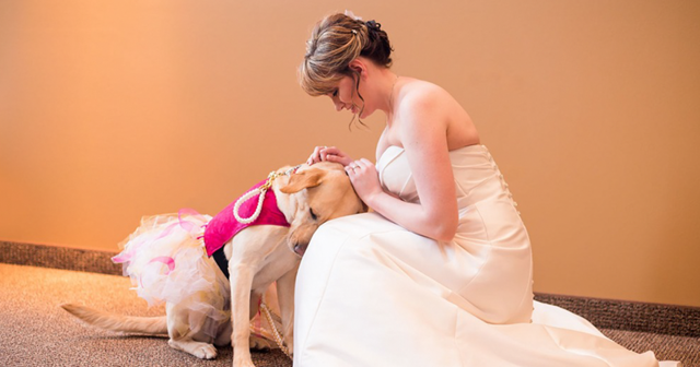 Собака успокоила невесту, страдающую от тревожного расстройства
