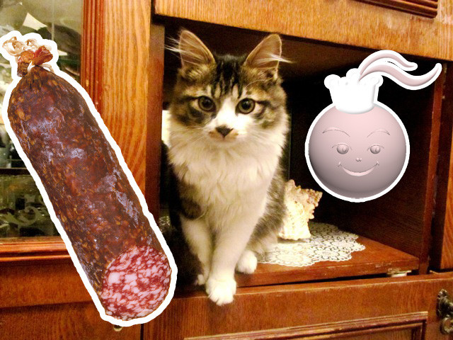 Играем с котом / Любимая игрушка vs КОЛБАСА 