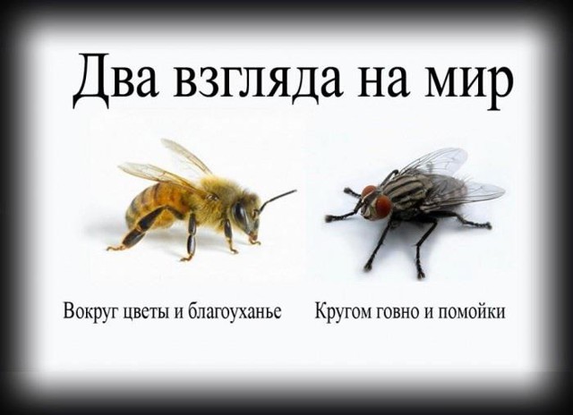 Зажрались или????