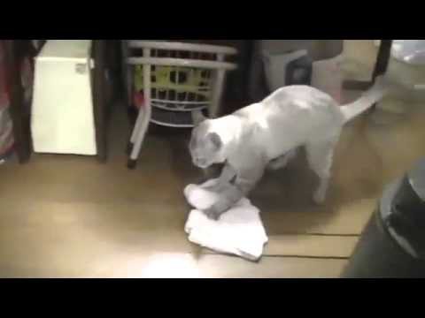 Натоптали тут!