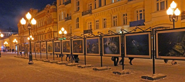 В Москве на Арбате открыта выставка подводных фотографов