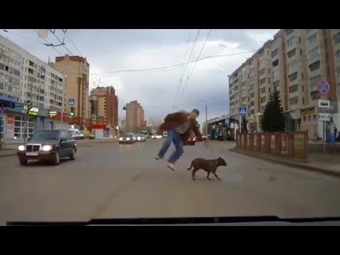 Забавные пешеходы