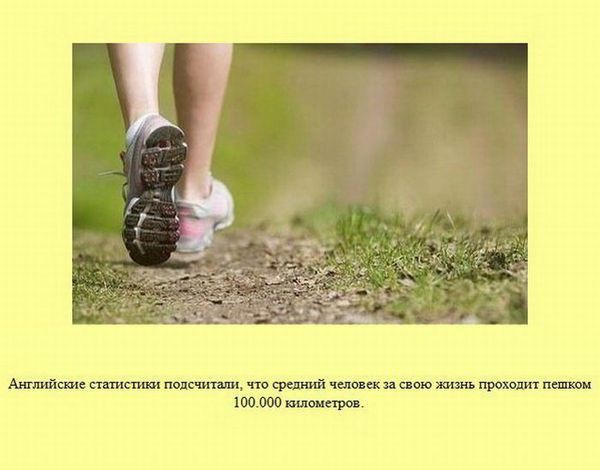 Интересное о разном