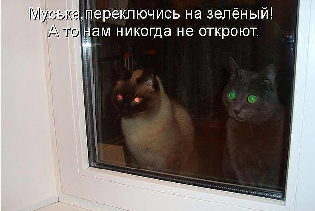 Скачай это бесплатное Фото на тему Не пущу мем и открой