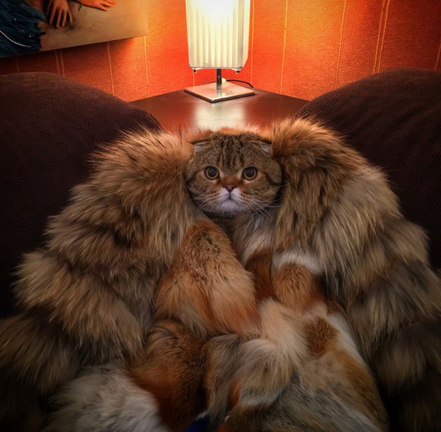 Фотоподборка за 28.01.16