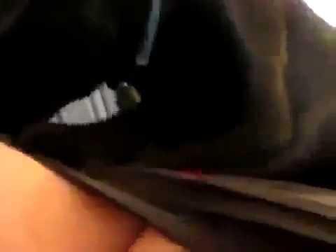 Кошара в экстазе