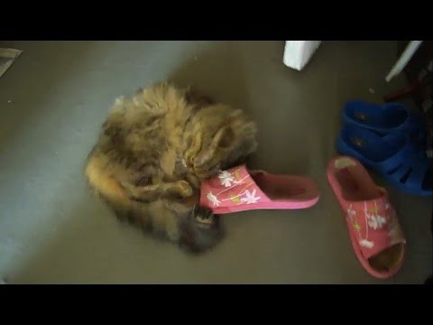 Смирительный тапок