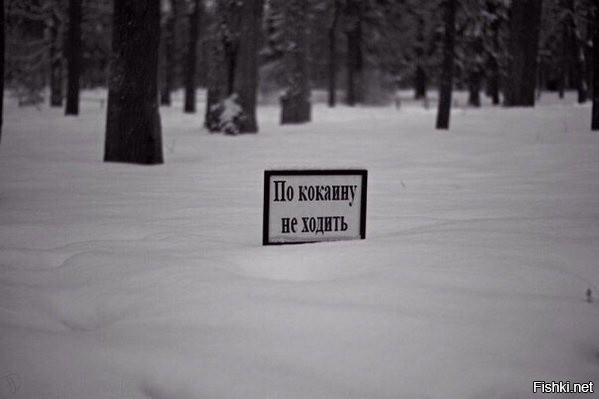 Диб) ‏@DibHumor  39 мин