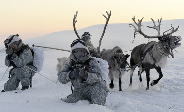 Езда на оленях и собаках: необычные учения арктической бригады