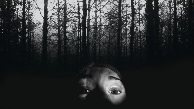 7 хорроров, повлекших за собой реальные полицейские расследования (8 фото)