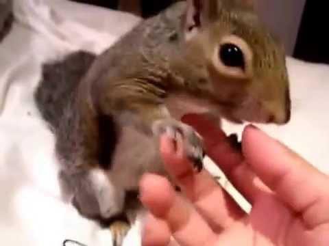 Не дают музыку заценить в наушниках