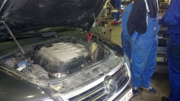 Сотрудники автосервиса извлекли из моторного отсека автомобиля живого кота 