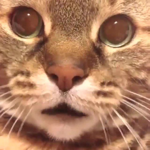 Пятничная подборка Кубиков