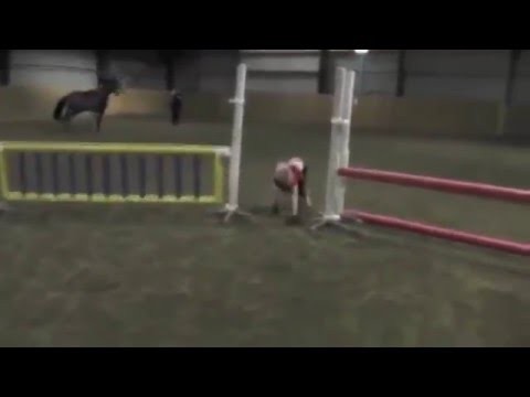 Пока сама прыгать не научится лошадь не дадут