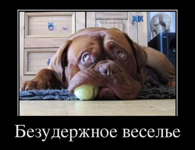 Подборка демотиваторов, которые поднимут вам настроение!