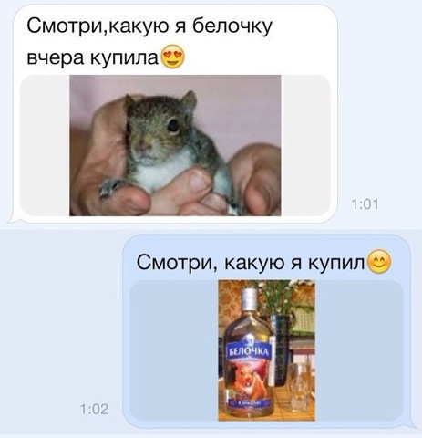 Прикольные SMS диалоги