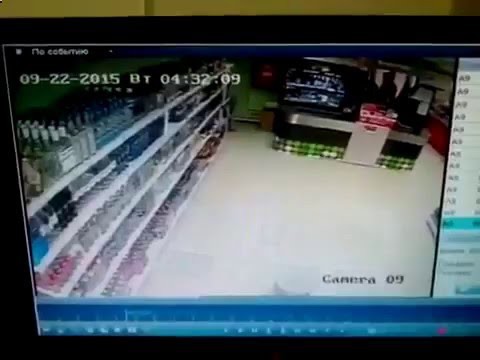 Пустили погреться
