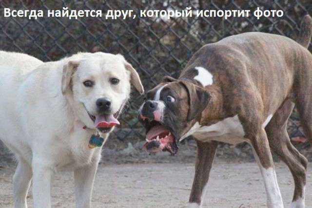 Интересная подборка фотографий