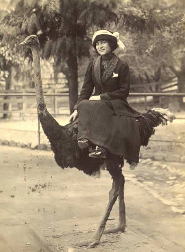 Исторические фотографии