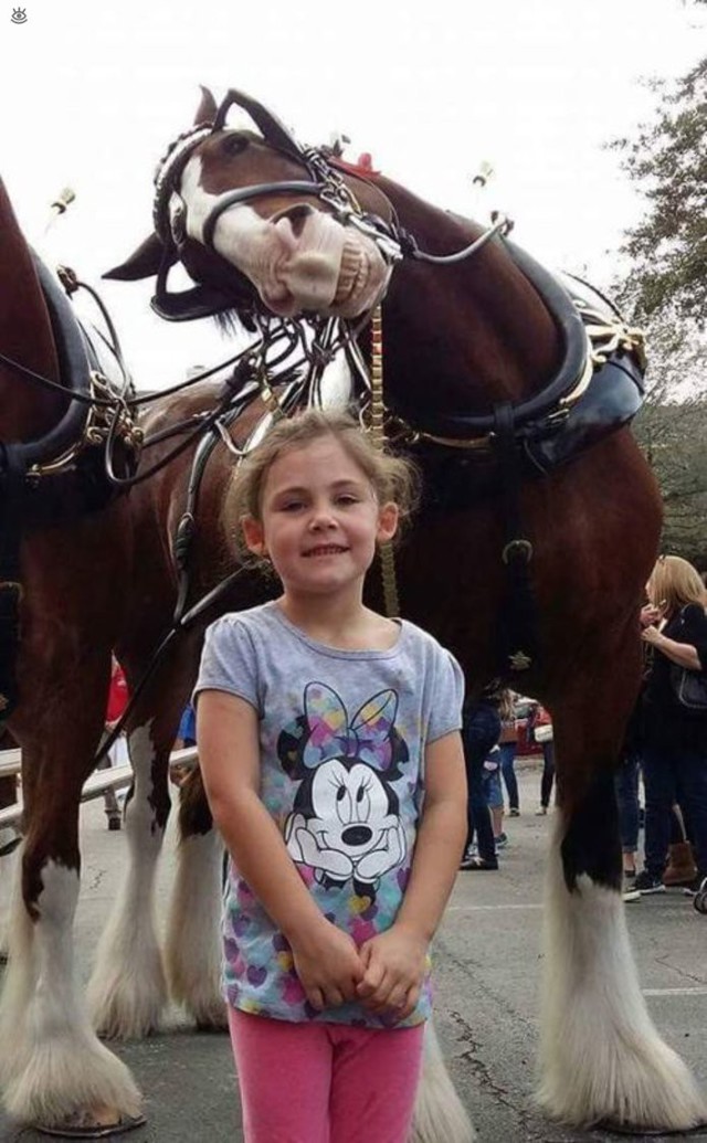 Эта девочка захотела сфотографироваться рядом с лошадью. Но фото вышло неожиданным!