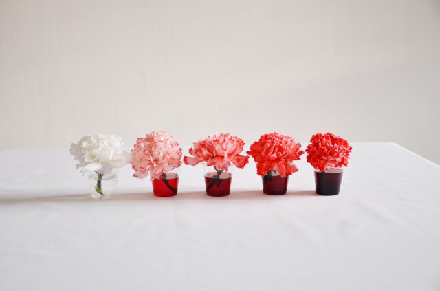 Все ахнули, когда увидели зачем художница наполнила 2000 стаканчиков с красителем