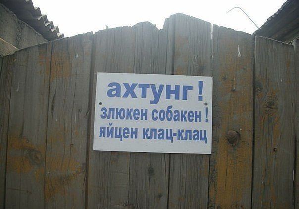 Смешные фото для поднятия настроения