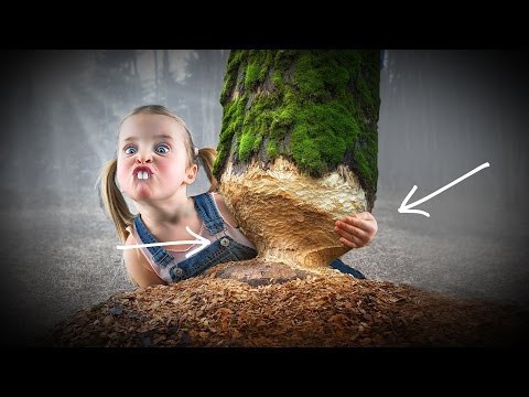МЫ МОЖЕМ ОТРАЩИВАТЬ ЗУБЫ?