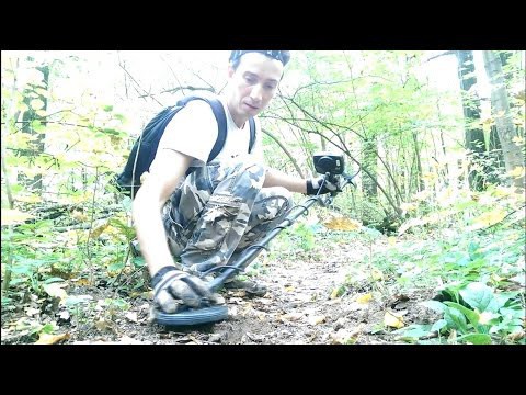 Как я в лесу серебро Николая I нашел