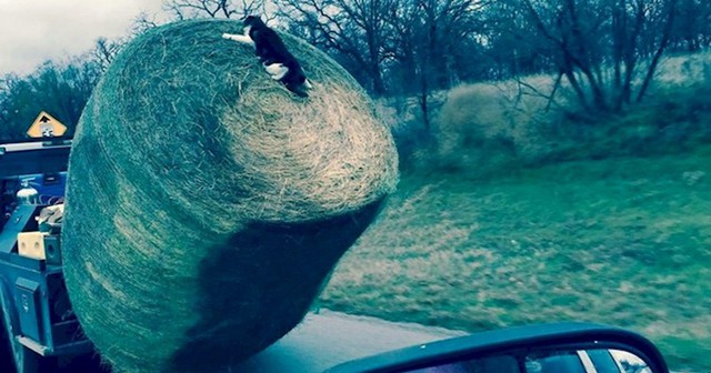 Вы не поверите, что эти 17 фотографий были сделаны на самом деле!