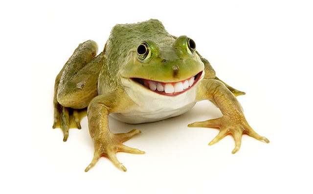 Смешные и невероятные фотоманипуляции сделанные в Photoshop