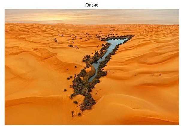 Лучшие фотографии месяца