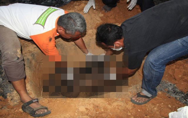 Семейство орангутанов погибло во время лесного пожара