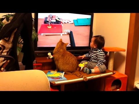 Когда увидел залипательное видео
