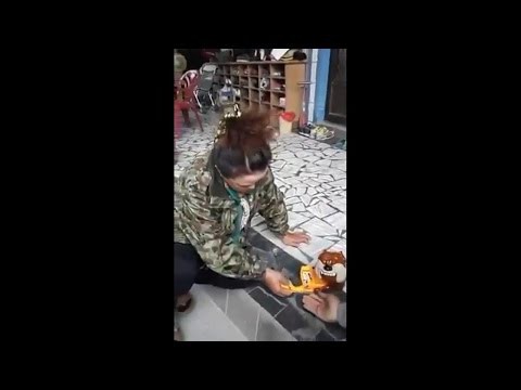 Не буди собаку! 