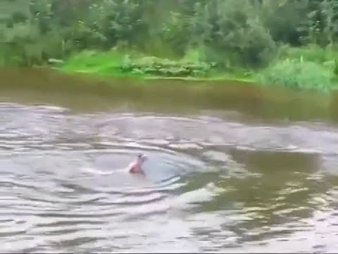 Когда что то коснулось тебя под водой