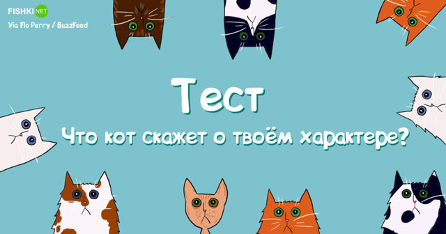 Тест: Что о тебе скажут коты? (1 вопрос)