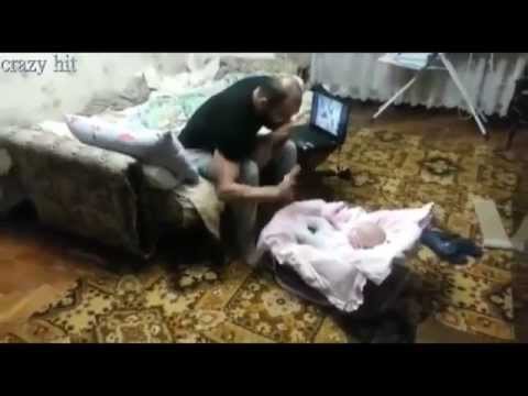 Кот телохранитель