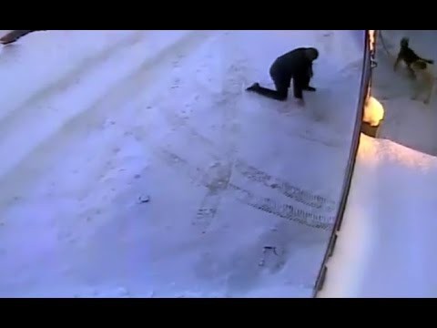 Любитель подразнить собак