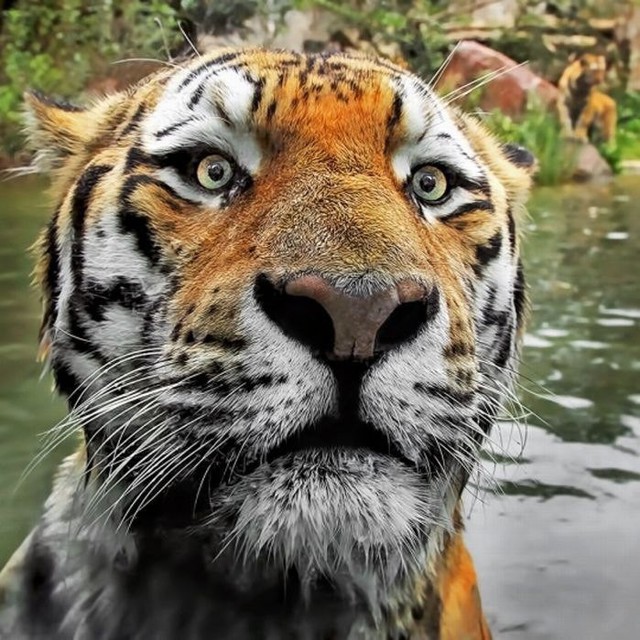 Подборка ужасно красивых фотографий