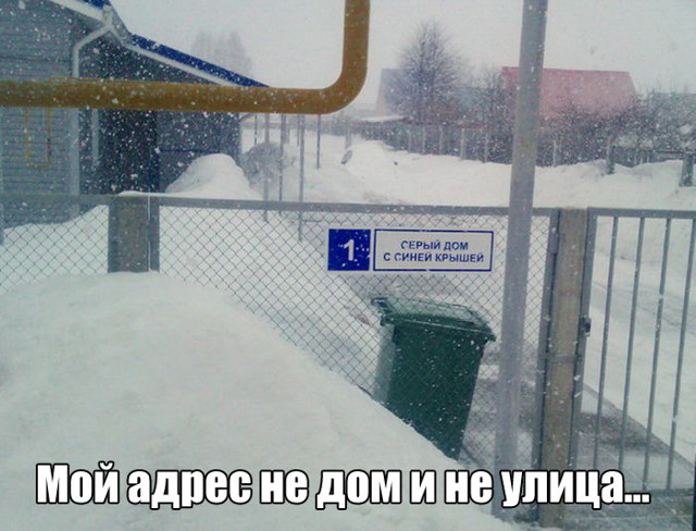 Прикольные картинки. Дневной выпуск