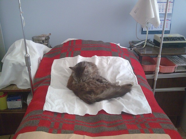  Истории от врачей