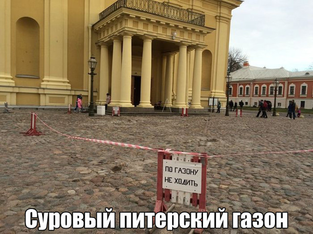 Прикольные картинки. Вечерний выпуск