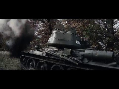 Боевая Подруга