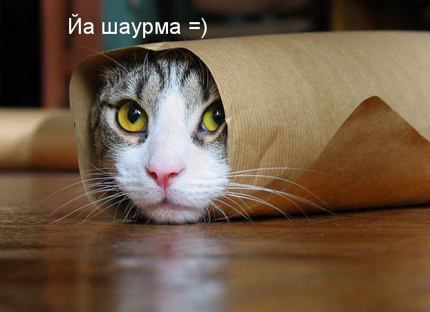 Мохнатые шутки