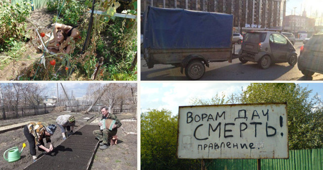 Дачный сезон не за горами. Что нас ждет? 