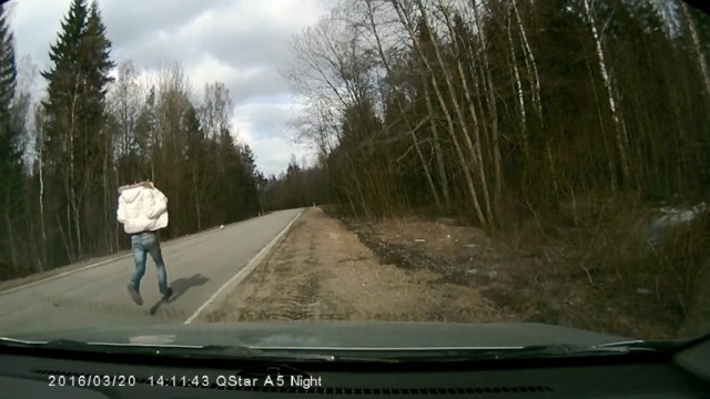 Погоня за испуганной собакой после аварии